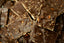 Pile of Dark Chocolate Toasted Almond Bark squares with chopped toasted almonds embedded throughout the dark chocolate.