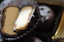 Peanut Butter Porcupines — close-up cross-section showing the smooth peanut butter filling inside a dark chocolate shell.