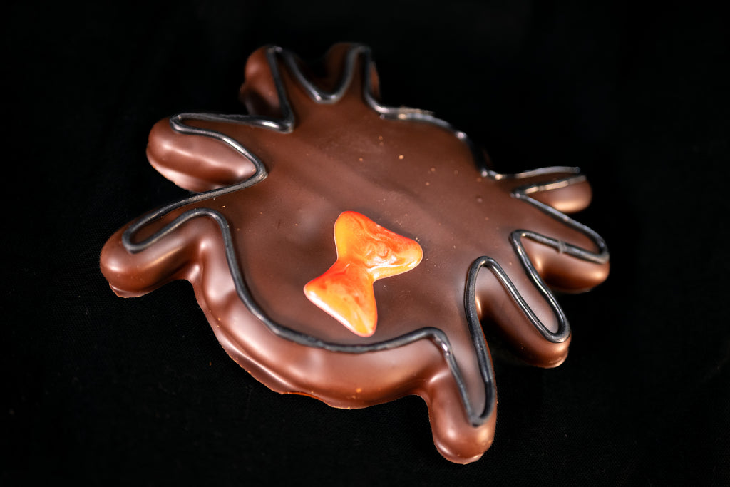 Chocolate-covered graham cracker spider with hand-piped black leg outlines and an orange hourglass marking on the back.