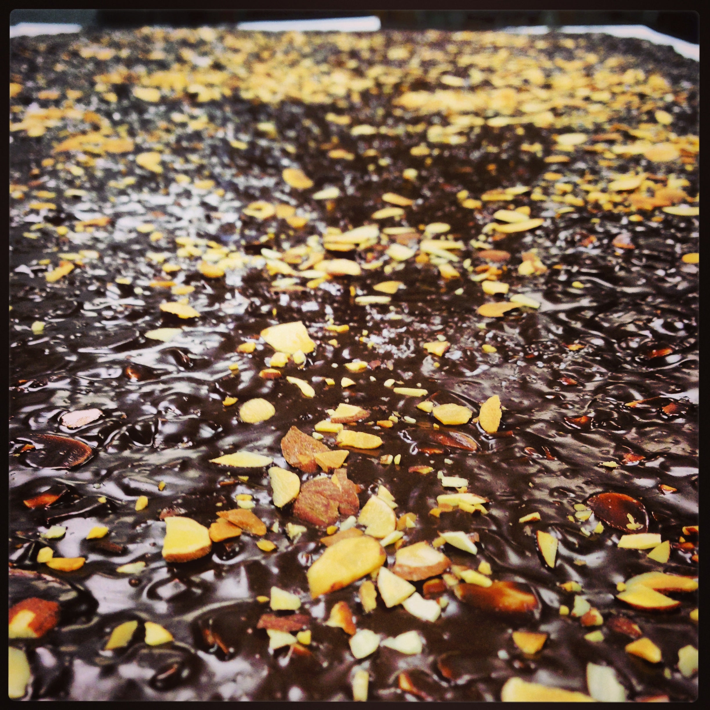 Dark Chocolate Toasted Almond Bark slab from above, chopped almonds embedded across the dark chocolate.