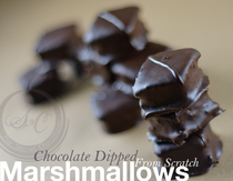 Chocolate Marshmallows close-up showing the dark chocolate shell on each marshmallow square.