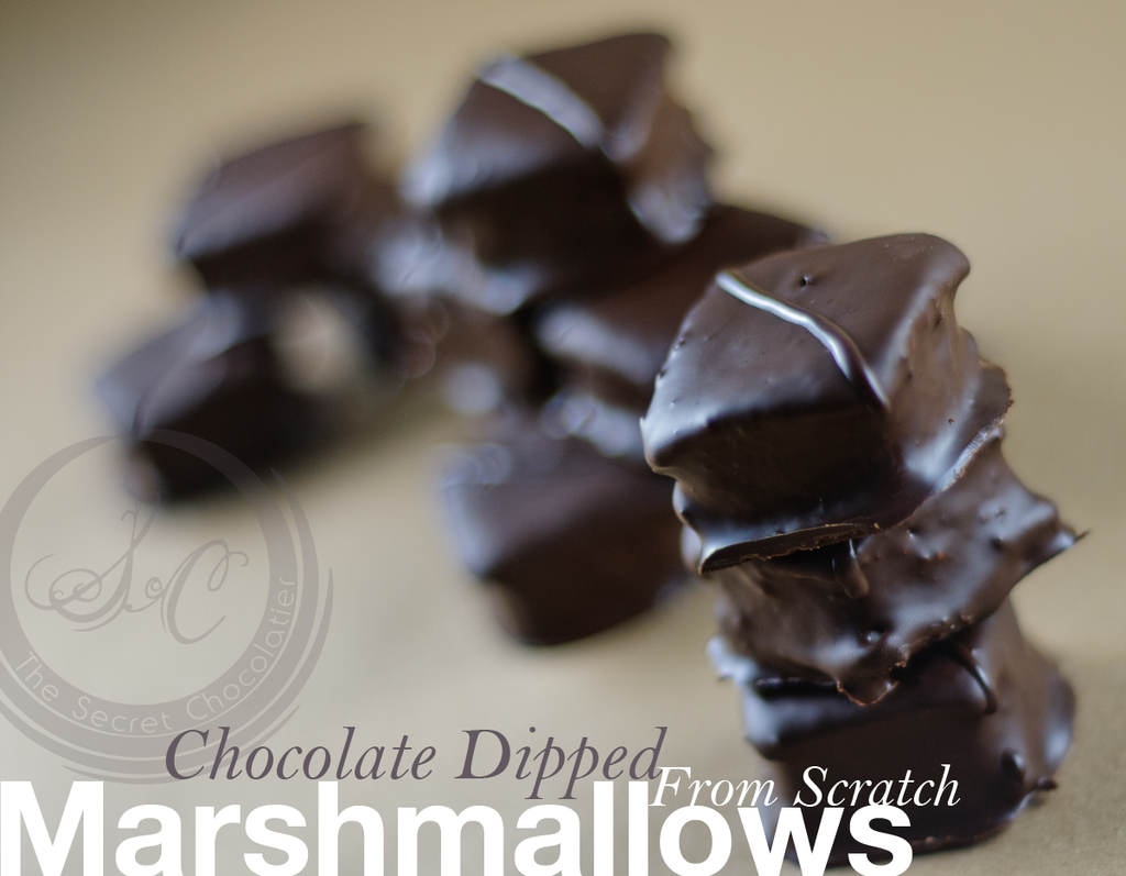 Chocolate Marshmallows close-up showing the dark chocolate shell on each marshmallow square.