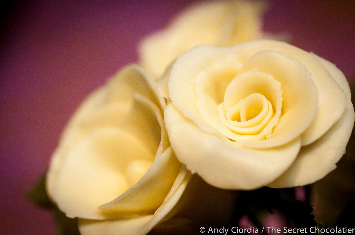 Edible Chocolate Roses - Handcrafted Dark & White Varieties – The ...
